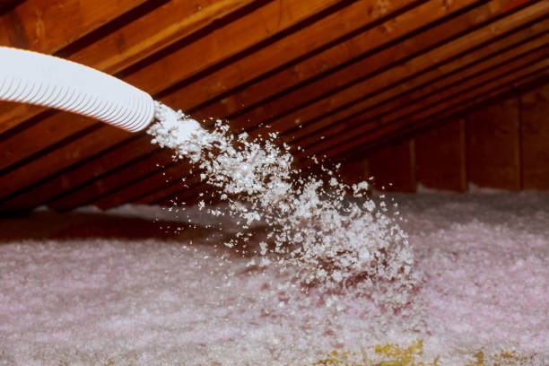 Best Residential Insulation in Shenandoah Farms, VA