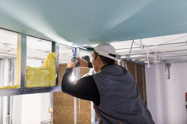 Best Residential Insulation in Shenandoah Farms, VA