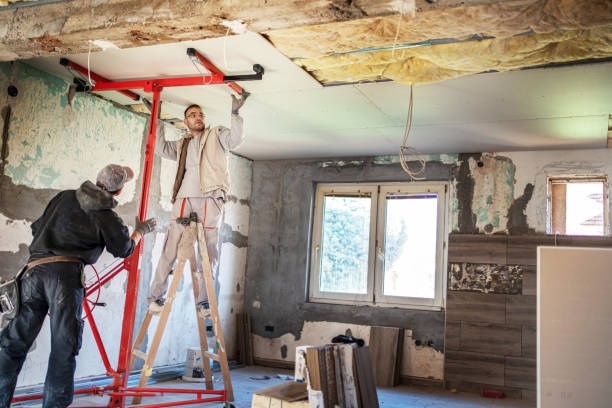 Best Cellulose Insulation in Shenandoah Farms, VA