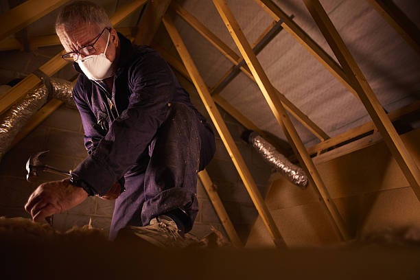 Best Blown-in Insulation in Shenandoah Farms, VA