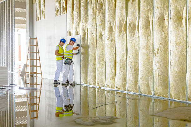 Best Cellulose Insulation in Shenandoah Farms, VA